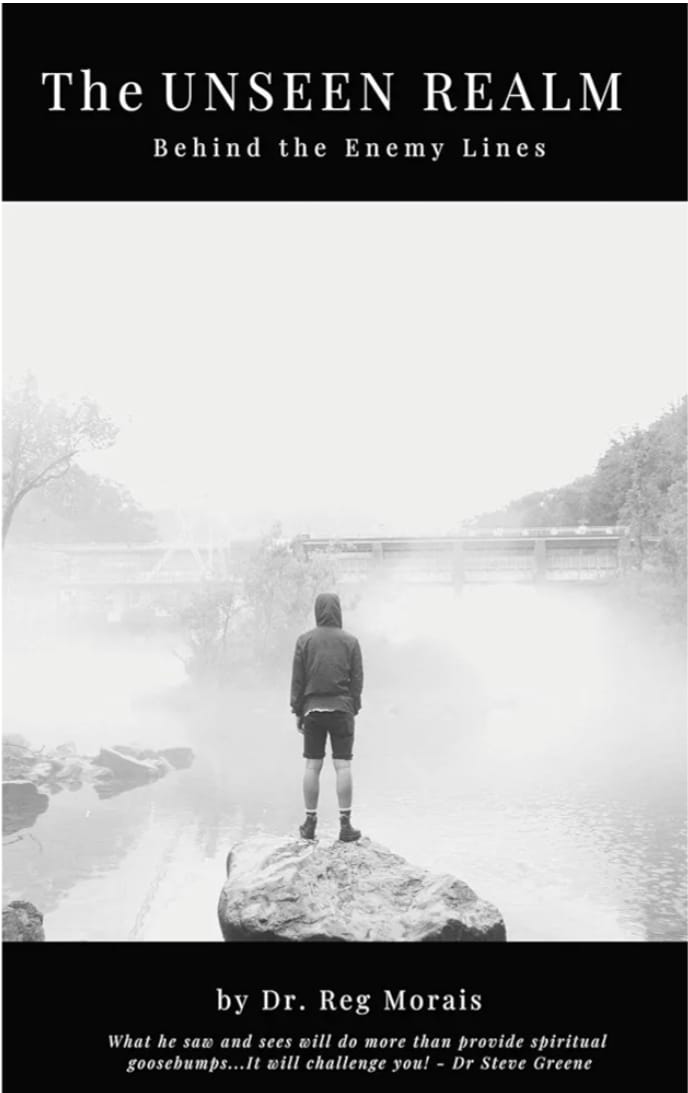 The unseen realm ;  behind the enemy lines